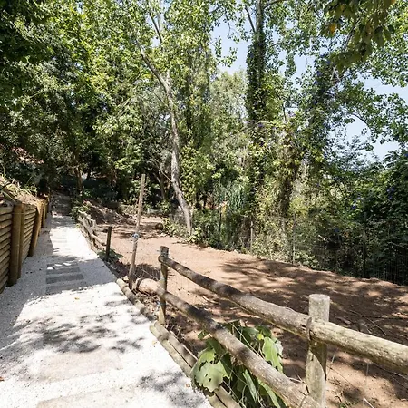 Vakantiehuis Penedo Escape Nature Colares