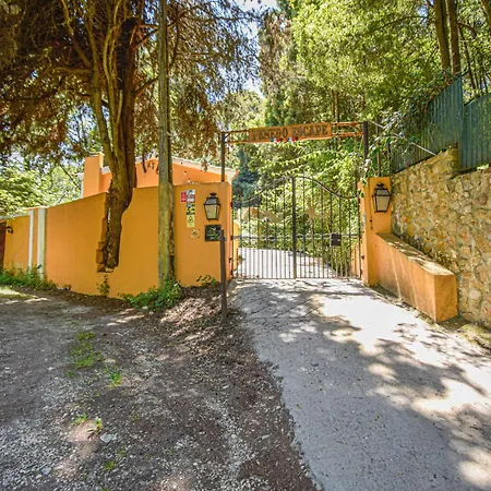 Penedo Escape Nature * 콜라레스