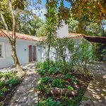 Penedo Escape Nature Appartement