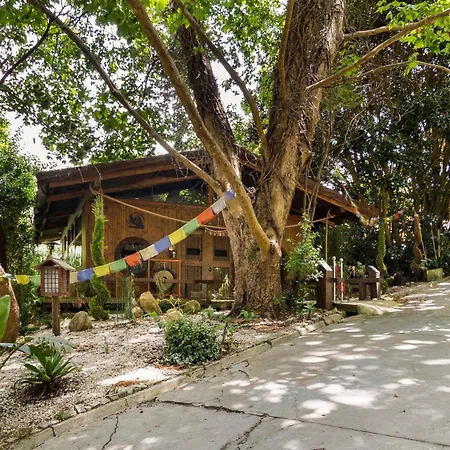 Penedo Escape Nature Apartment Colares