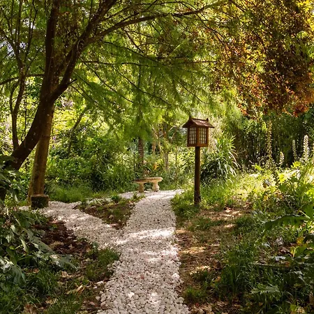 Penedo Escape Nature Apartment *