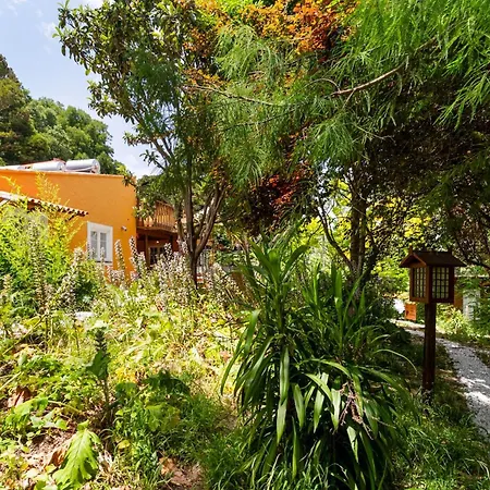 Apartment Penedo Escape Nature *
