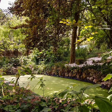 Penedo Escape Nature Apartment *