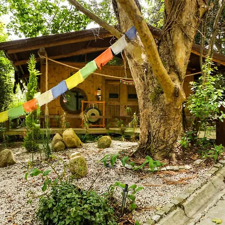 Penedo Escape Nature Apartment