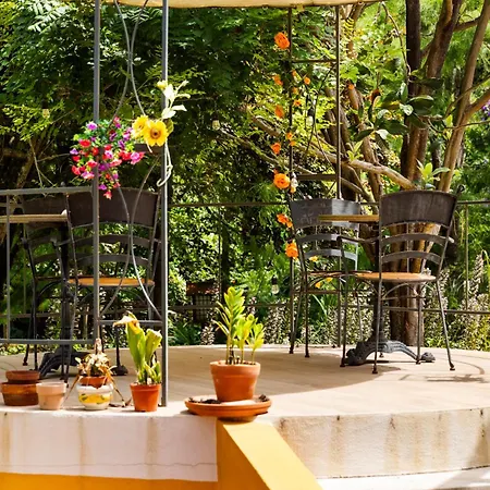 Apartment Penedo Escape Nature