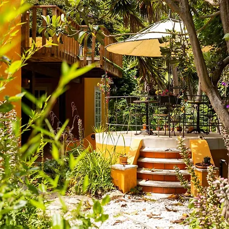 Penedo Escape Nature Apartment *